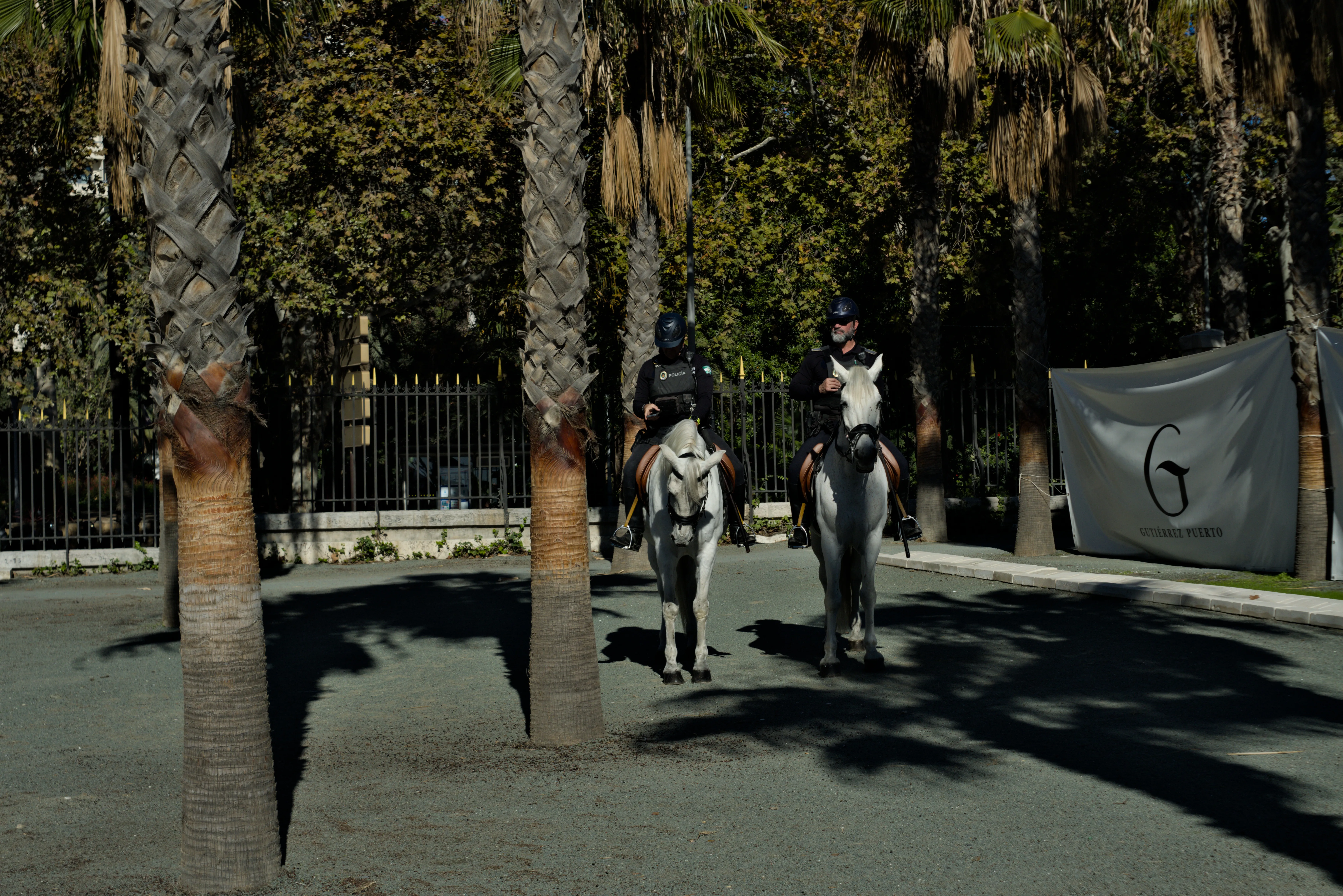 Meyer-Optik Görlitz Primagon 35mm f4.5 (M42) - _I4A3098.webp